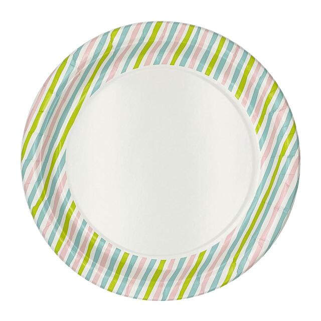 Stripes Recyclable Paper Party Plates