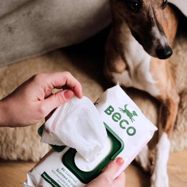 Beco Bamboo Dog Wipes Coconut Scented thumbnail 2