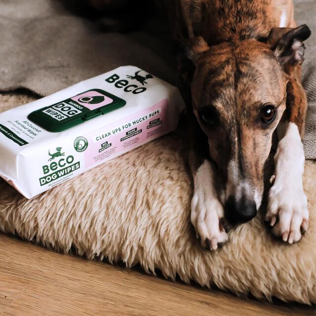 Beco Bamboo Dog Wipes Coconut Scented thumbnail 3