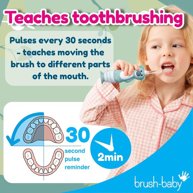 Brush-Baby Kids WildOnes Electric Toothbrush Kylie Koala thumbnail 2