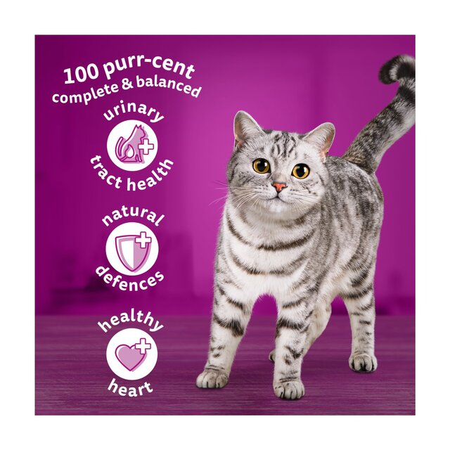 Whiskas Adult 1+ Cat Food Dry with Lamb thumbnail 2