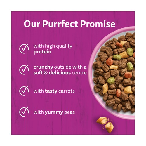 Whiskas 1+ Adult Dry Cat Food with Salmon thumbnail 3