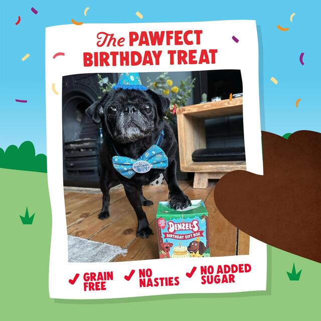 Denzel's Birthday Gift Box of Dog Treats thumbnail 7