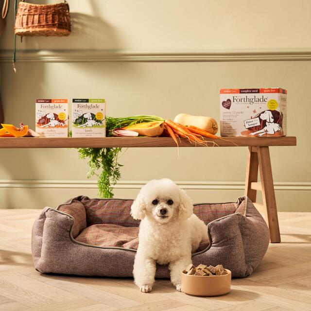 Forthglade Complete Senior Grain Free Dog Food Variety Pack Turkey & Lamb thumbnail 5