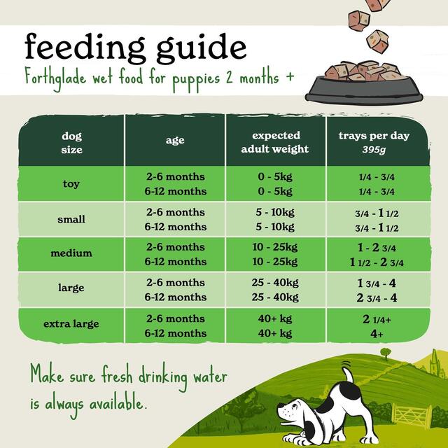 Forthglade Complete Puppy Grain Free Chicken with Liver, Sweet Potato & Veg thumbnail 7