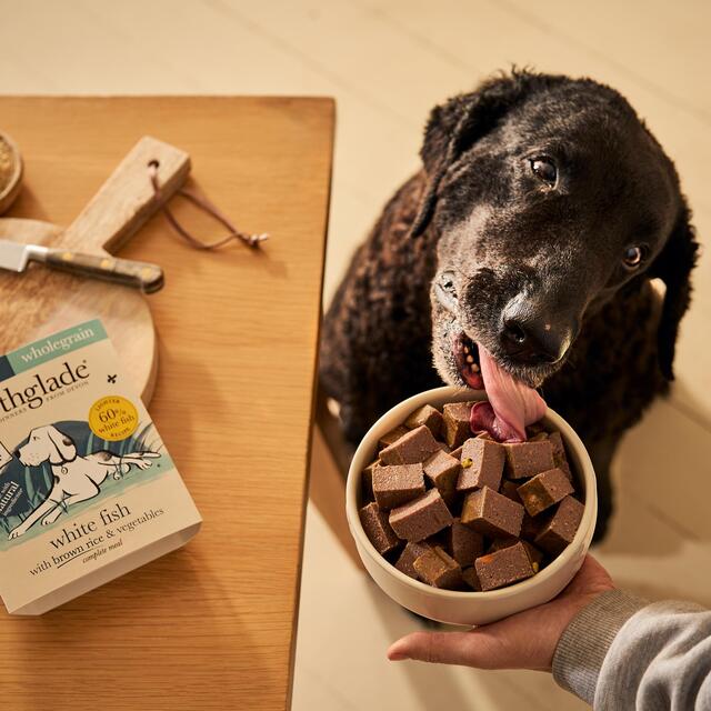 Forthglade Complete Senior Whole Grain White Fish with Brown Rice & Veg thumbnail 5