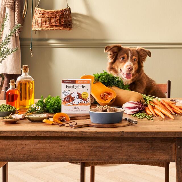 Forthglade Complete Senior Grain Free Turkey with Butternut Squash & Veg thumbnail 5