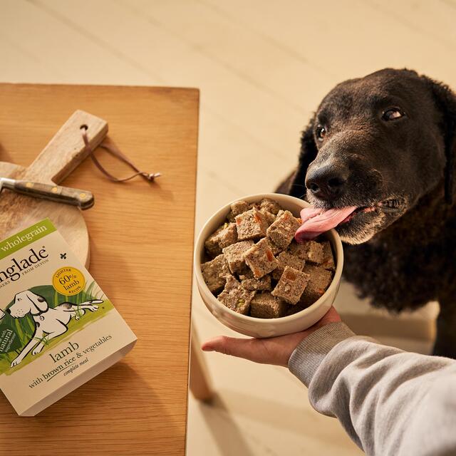 Forthglade Complete Senior Whole Grain Lamb with Brown Rice & Veg thumbnail 5