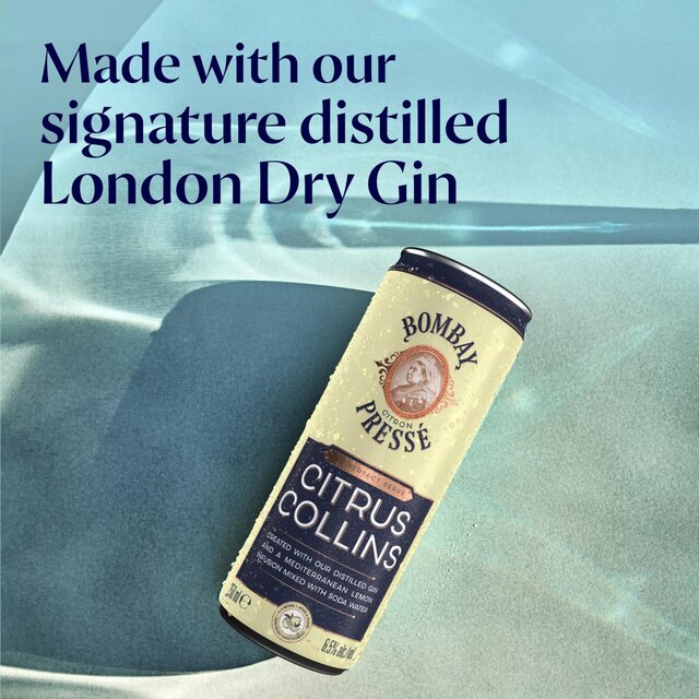 Bombay Citron Presse Citrus Collins Lemon Premix Gin Cocktail thumbnail 5