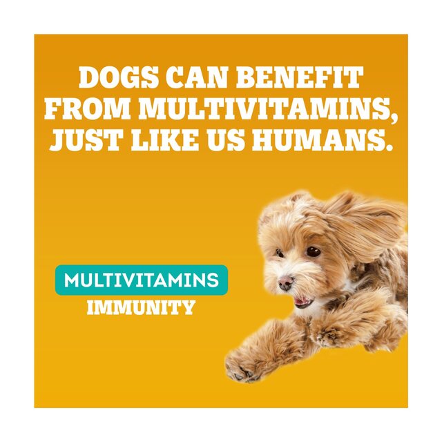 Pedigree Treat Dog Multivitamins Adult Immune thumbnail 3