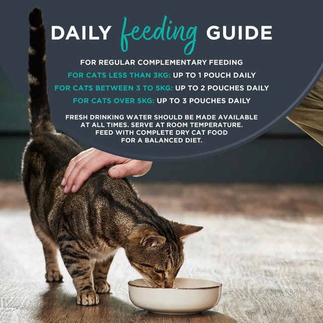 Encore Wet Cat Kitten Jelly Selection thumbnail 4