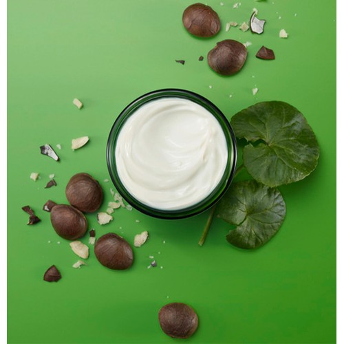 Weleda Skin Food Night Face Cream Moisturiser Natural Derma Tested Vegan thumbnail 6