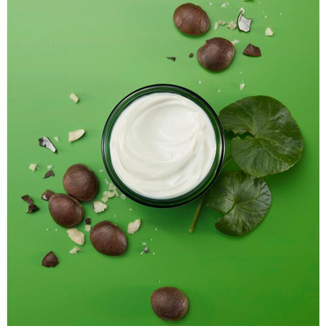 Weleda Skin Food Night Face Cream Moisturiser Natural Derma Tested Vegan thumbnail 6