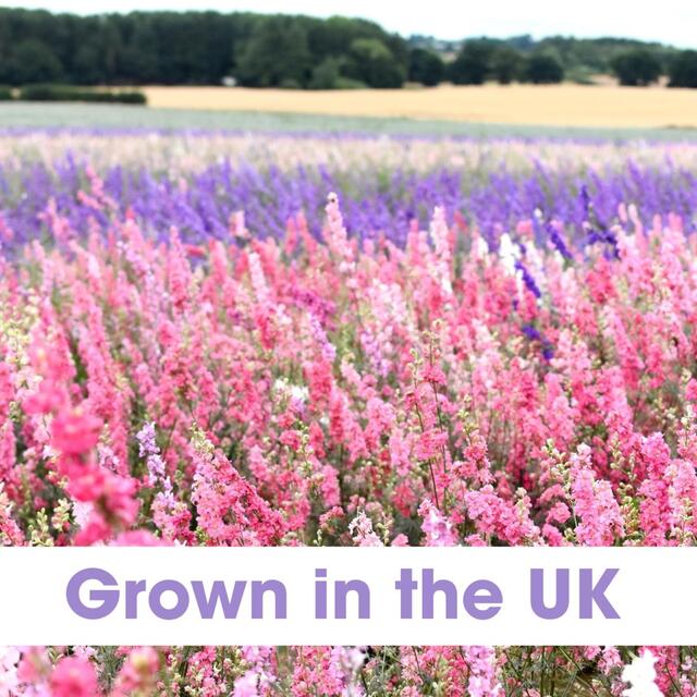 Natural Petal Wedding Confetti thumbnail 3