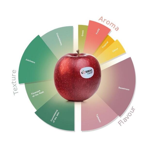 Cosmic Crisp Apples thumbnail 4