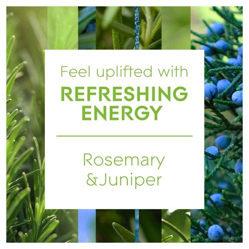 Glade Aromatherapy Reed Diffuser Refreshing Energy thumbnail 4