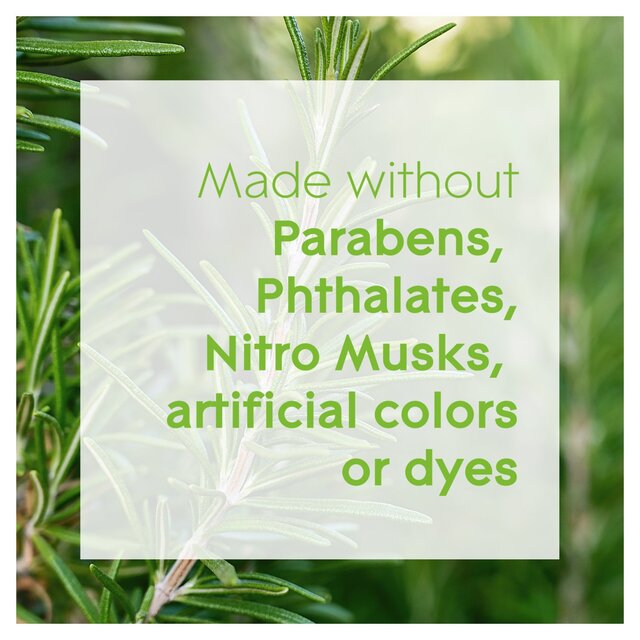 Glade Aromatherapy Reed Diffuser Refreshing Energy thumbnail 4