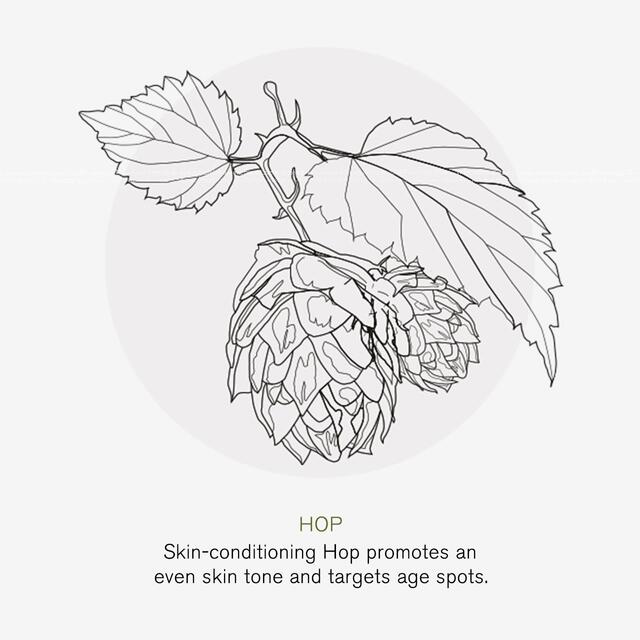 Green People Marine Facial Oil Nordic Roots thumbnail 7