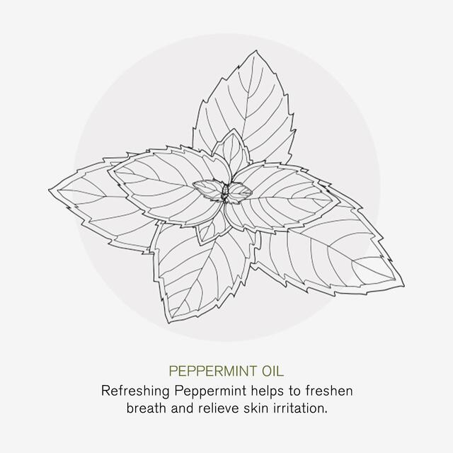 Green People Fresh Mint & Aloe Vera Fluoride Toothpaste thumbnail 6