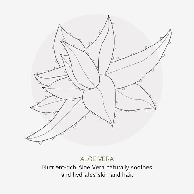 Green People Fresh Mint & Aloe Vera Fluoride Toothpaste thumbnail 7