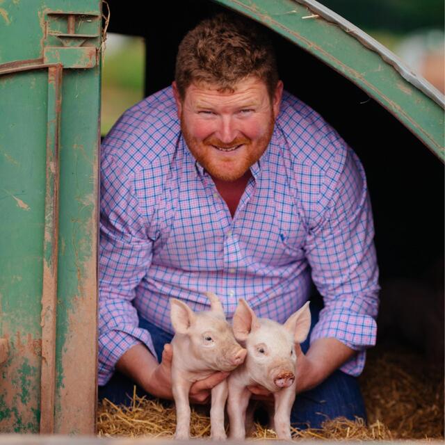 Packington Free Range Lincolnshire Sausages thumbnail 6