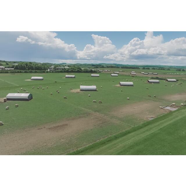 Packington Free Range Old English Sausage thumbnail 5