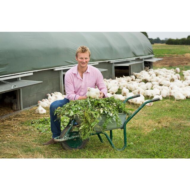 Herb Fed Free Range Chicken thumbnail 5