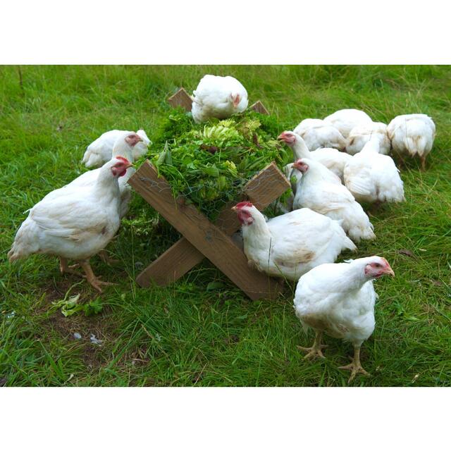 Herb Fed Free Range Chicken thumbnail 6