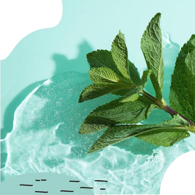 Miniml Toilet Cleaner - Spearmint & Peppermint thumbnail 3