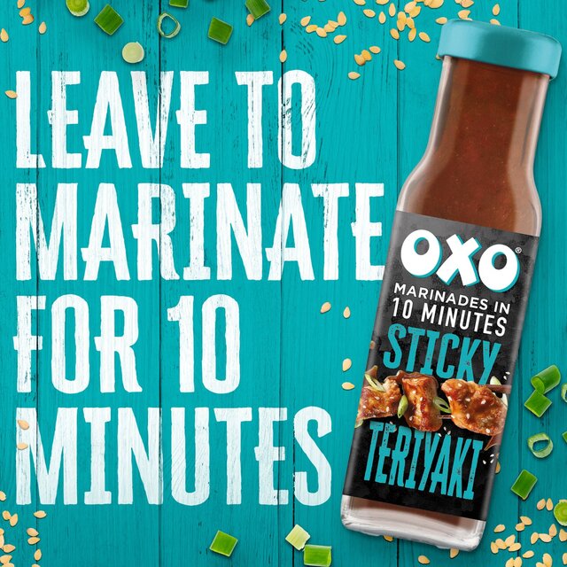 Oxo Teriyaki Marinade thumbnail 3