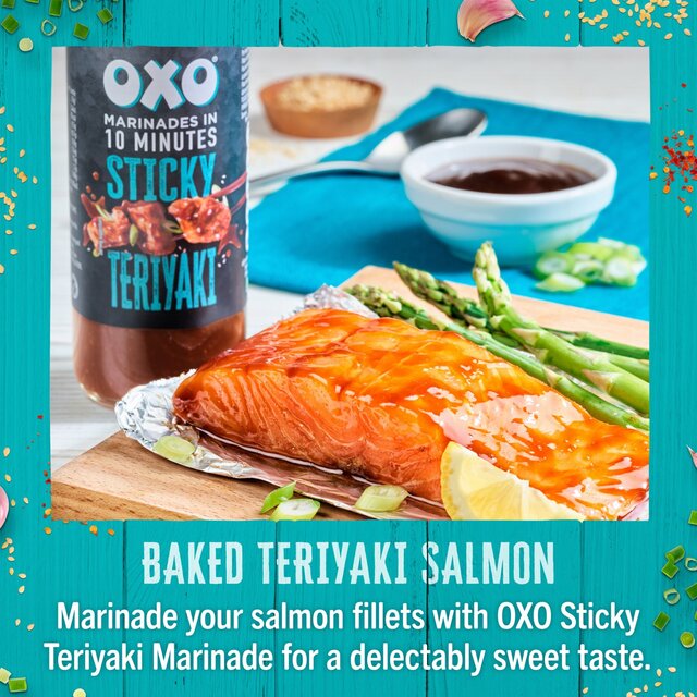 Oxo Teriyaki Marinade thumbnail 4