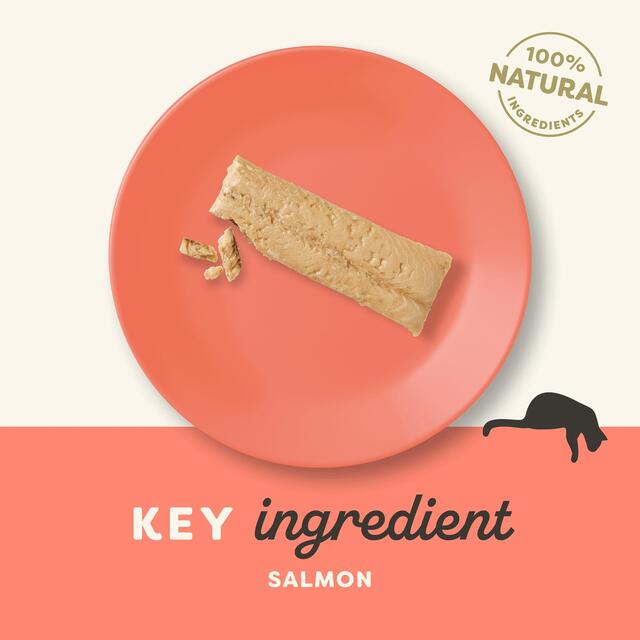 Applaws Cat Treat Whole Salmon Loin thumbnail 3