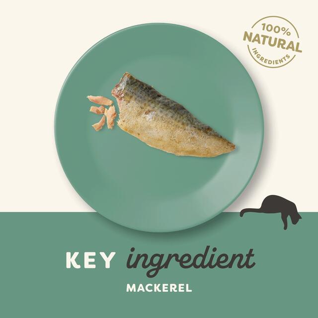 Applaws Cat Mackerel Loin thumbnail 4