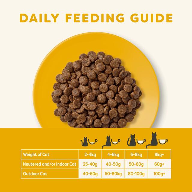 Applaws Cat Dry Adult Chicken with Salmon thumbnail 5