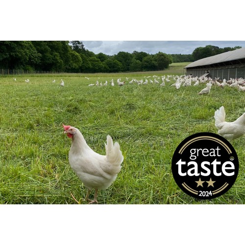 Packington Free Range White Eggs thumbnail 6