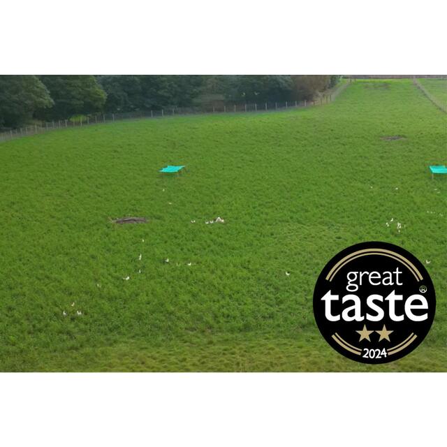 Packington Free Range White Eggs thumbnail 4