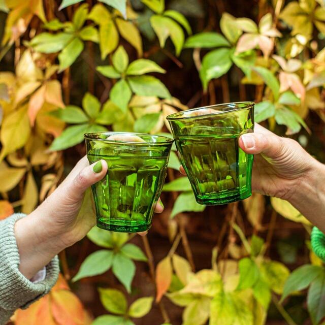 Duralex Picardie Jungle Green Tumbler Set 250ml thumbnail 4