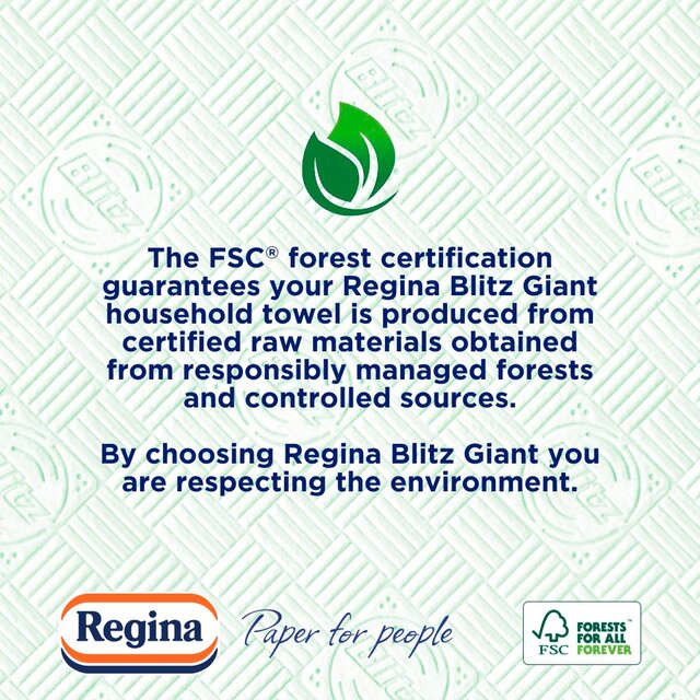 Regina Blitz Giant Kitchen Roll 260 All Purpose Sheets 1 Roll thumbnail 4