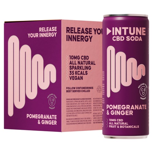 INTUNE Pomegranate & Ginger Sparkling CBD Drink