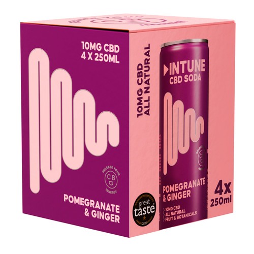 INTUNE Pomegranate & Ginger Sparkling CBD Drink thumbnail 2