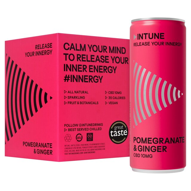INTUNE Pomegranate & Ginger Sparkling CBD Drink