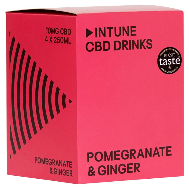 INTUNE Pomegranate & Ginger Sparkling CBD Drink thumbnail 2