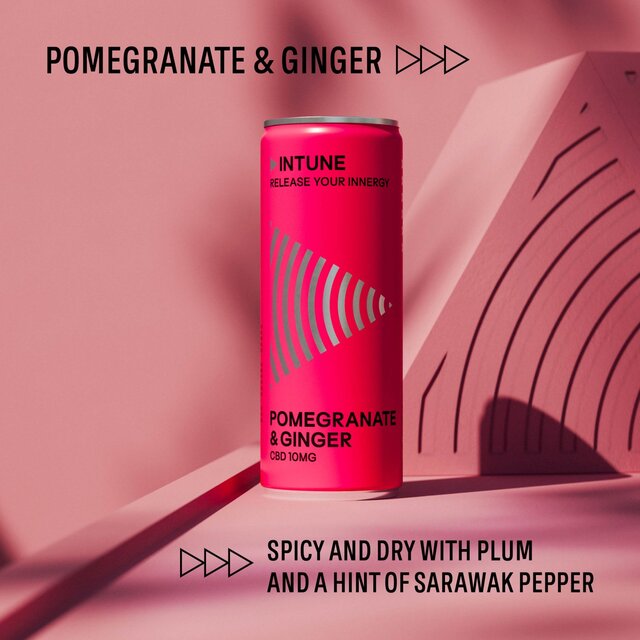 INTUNE Pomegranate & Ginger Sparkling CBD Drink thumbnail 3