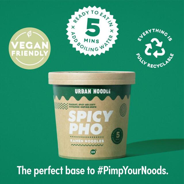 Urban Noodle Spicy Pho Ramen Pot thumbnail 4