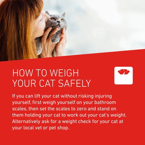 FRONTLINE Wormer Cat film coated tablets thumbnail 3