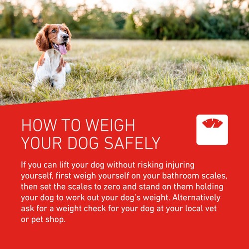 FRONTLINE Wormer Tablets X Large Dog from 17.5kg thumbnail 7