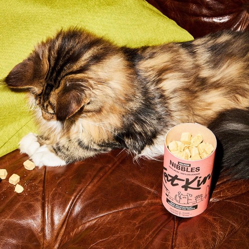 KatKin Salmon Nibbles Cat Treats thumbnail 8