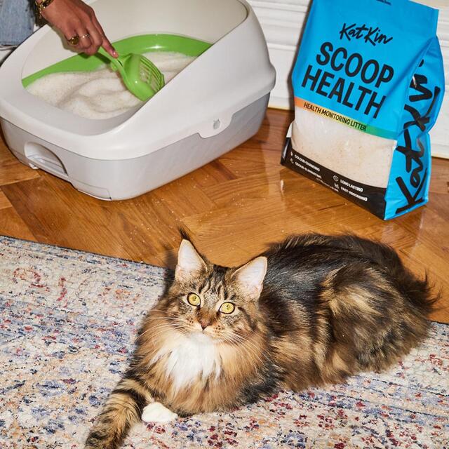 KatKin Scoop Health litter thumbnail 8