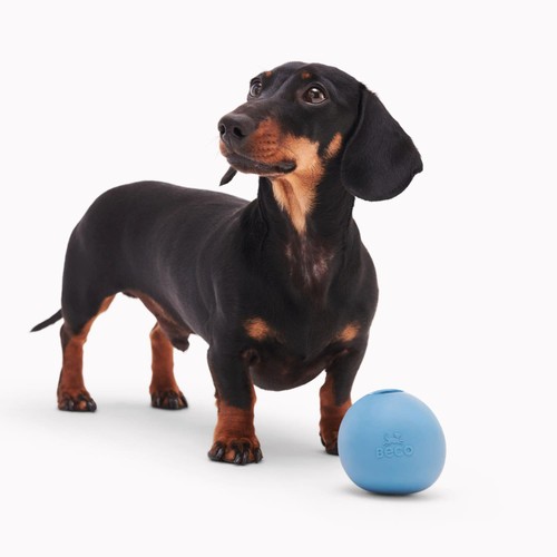 Beco Natural Rubber Wobble Ball - Blue thumbnail 2