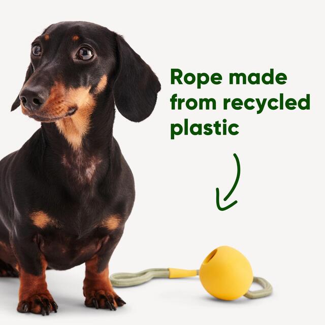 Beco Natural Rubber Slinger Ball - Yellow thumbnail 3